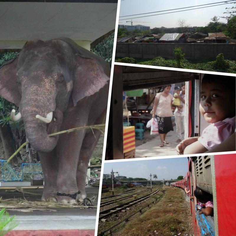Yangon Circle Line et enclos à éléphants